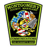 MCFRS L1664 The Hornets Nest Shop