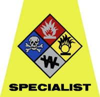 Specialist Helmet Tet Decal